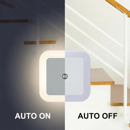 Modolight™ 6 Lights